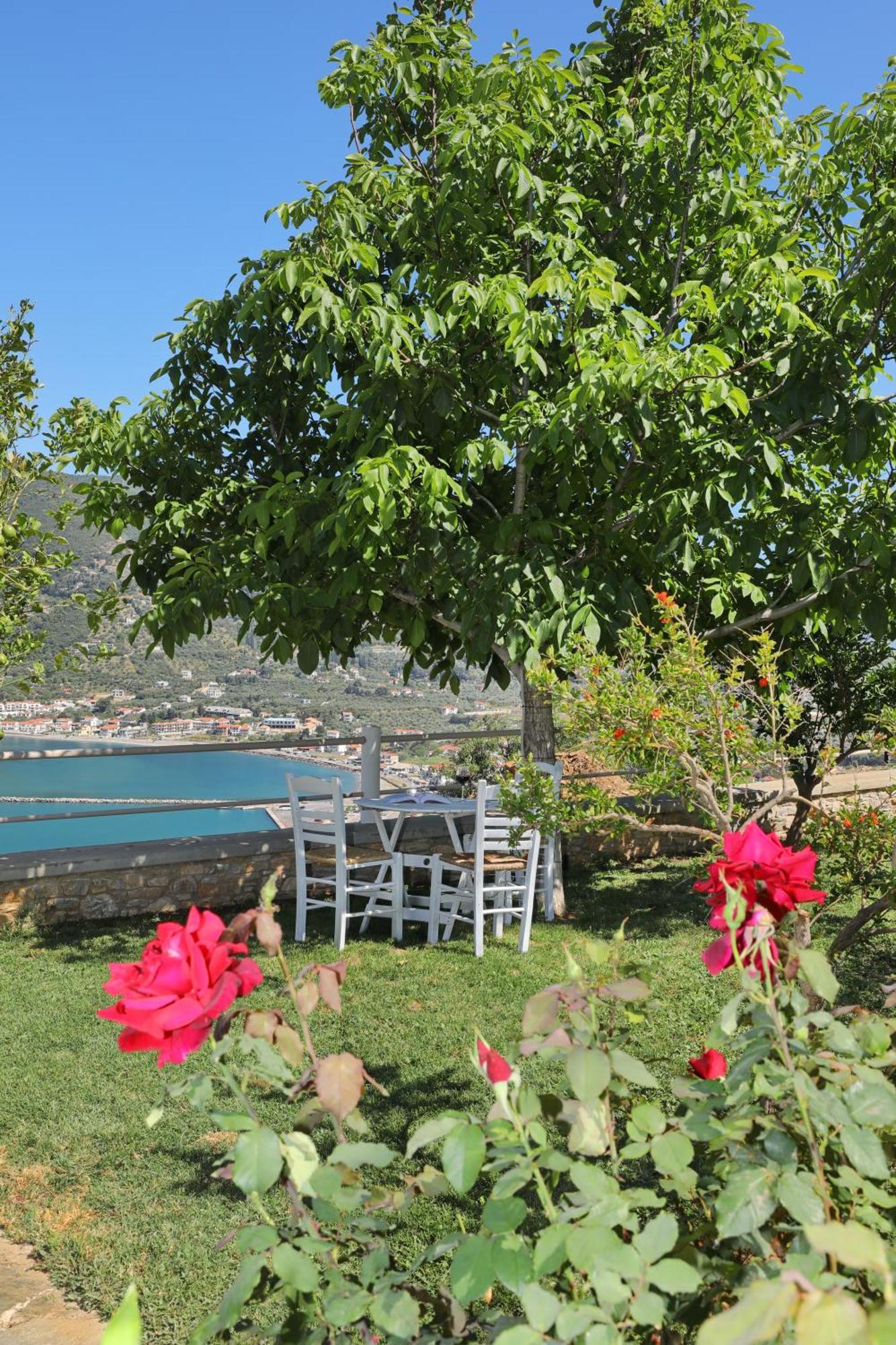 Tsoukalaria Studios Skopelos Exteriér fotografie