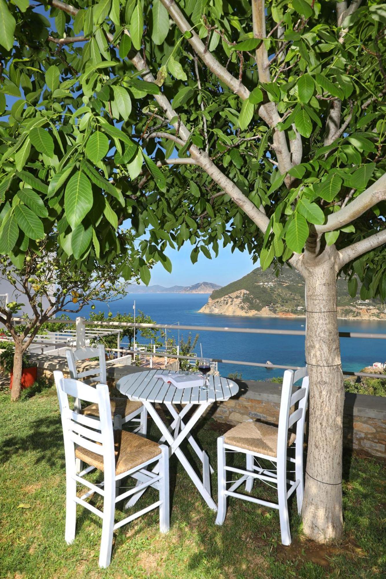 Tsoukalaria Studios Skopelos Exteriér fotografie